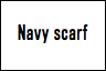 Navy scarf